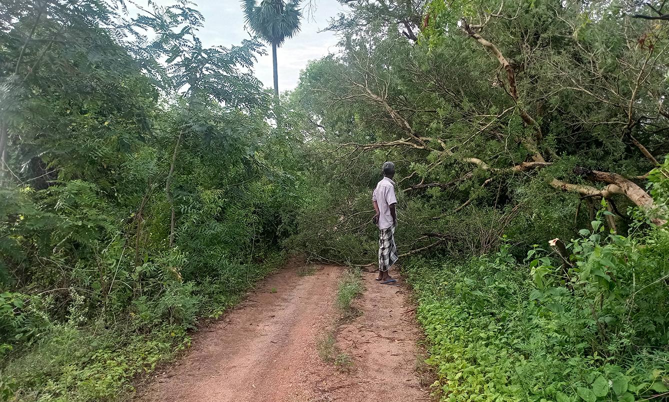 ஈரோடு மாவட்டத்தில் இடி, மின்னலுடன் ஆலங்கட்டி மழை