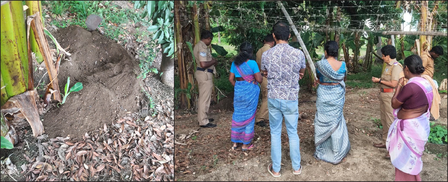 அவினாசியில் வாழை தோட்டத்தில் புதைத்து வைக்கப்பட்டிருந்த குழந்தை பிணம் மீட்பு