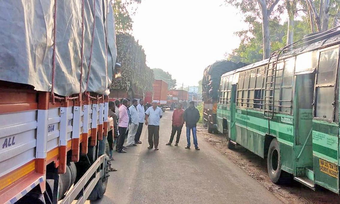 தொடர் மழையால் தமிழக-கர்நாடக எல்லையில் மரம் விழுந்து போக்குவரத்து பாதிப்பு