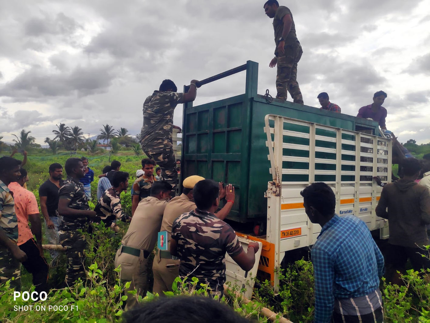 சத்தியமங்கலம் அருகே கால்நடைகளை வேட்டையாடிய சிறுத்தை கூண்டில் சிக்கியது