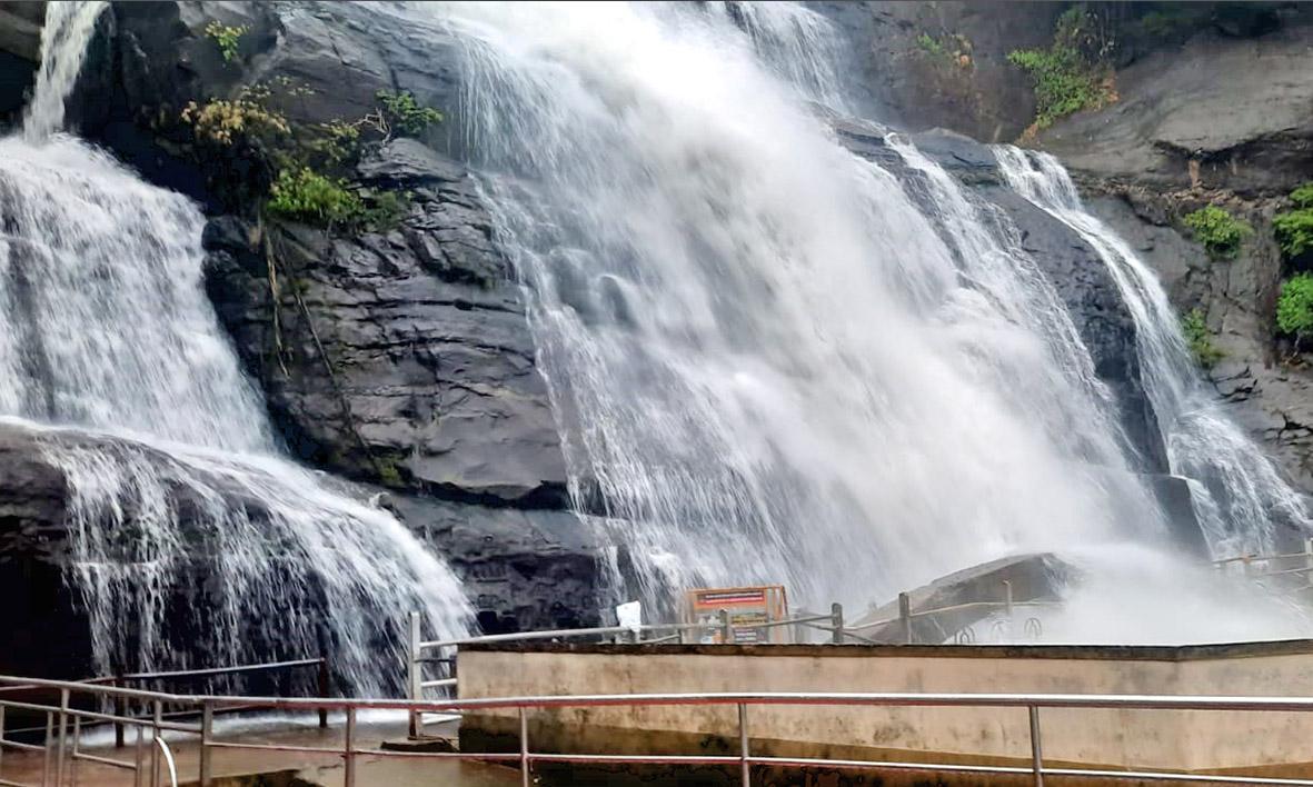 தென்காசி மாவட்டத்தில் விடிய விடிய சாரல் மழை தென்காசி மாவட்டத்தில் விடிய விடிய சாரல் மழை