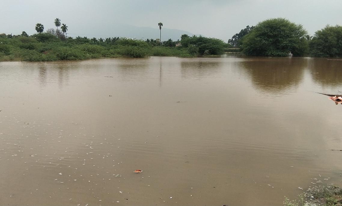 வெள்ளித்திருப்பூரில் பலத்த மழை- ஏரி மதகு உடைந்து வீடுகள், வயல்களில் வெள்ளம் சூழ்ந்தது