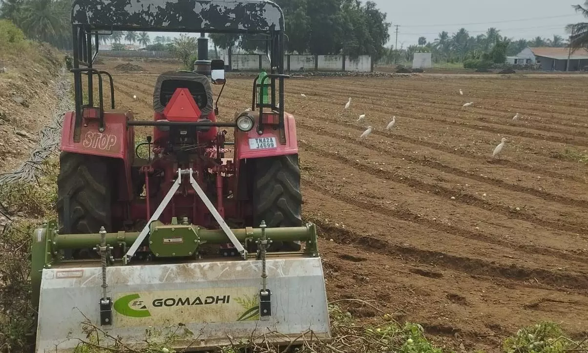 உரிய விலை இல்லாததால் டிராக்டர் மூலம் விளை நிலத்திலேயே தக்காளிகளை அழிக்கும் விவசாயிகள்