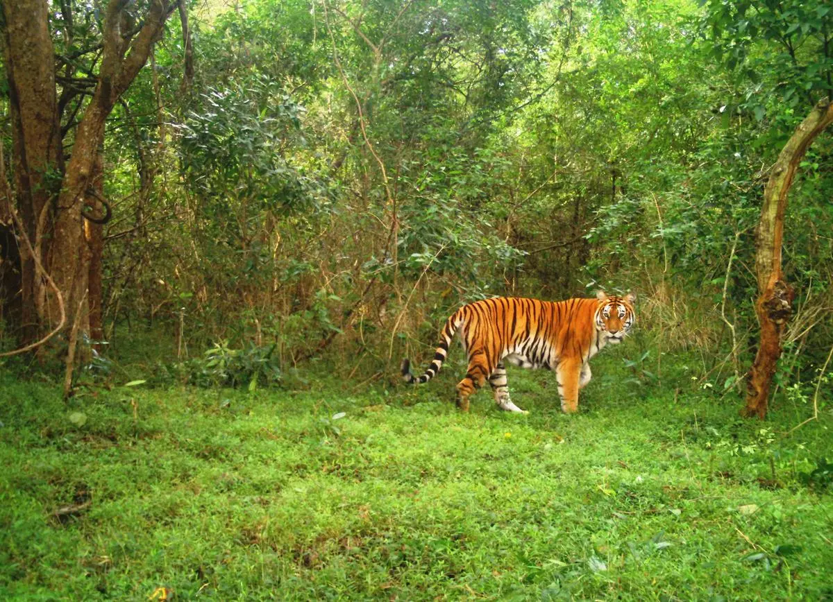 தமிழகத்தில் 18-வதாக அமையும் தந்தை பெரியார் வனவிலங்கு சரணாலயம்