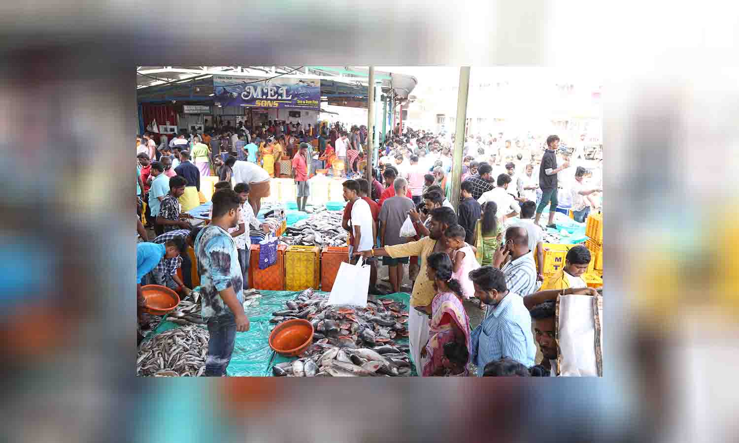 தென்னம்பாளையம் சந்தையில் மீன் வாங்க குவிந்த பொதுமக்கள்