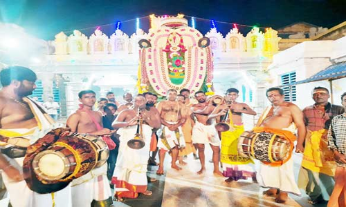 கிளி வாகனத்தில் கன்னியாகுமரி  பகவதி அம்மன் வீதி உலா