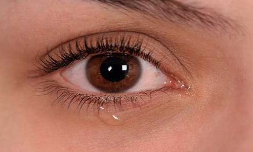 மரணமடைந்த மூதாட்டியின் கண்கள் தானம்