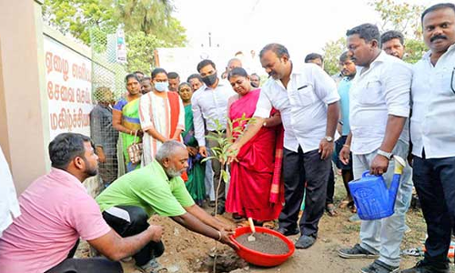 தூத்துக்குடி மாநகராட்சி சார்பில் மரக்கன்றுகள் நடும் திட்டம்-அமைச்சர் கீதாஜீவன் தொடங்கி வைத்தார்