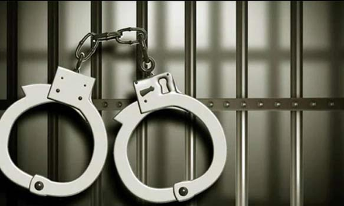 பெட்ரோல் குண்டு வீசியவர் குண்டர் சட்டத்தில் கைது