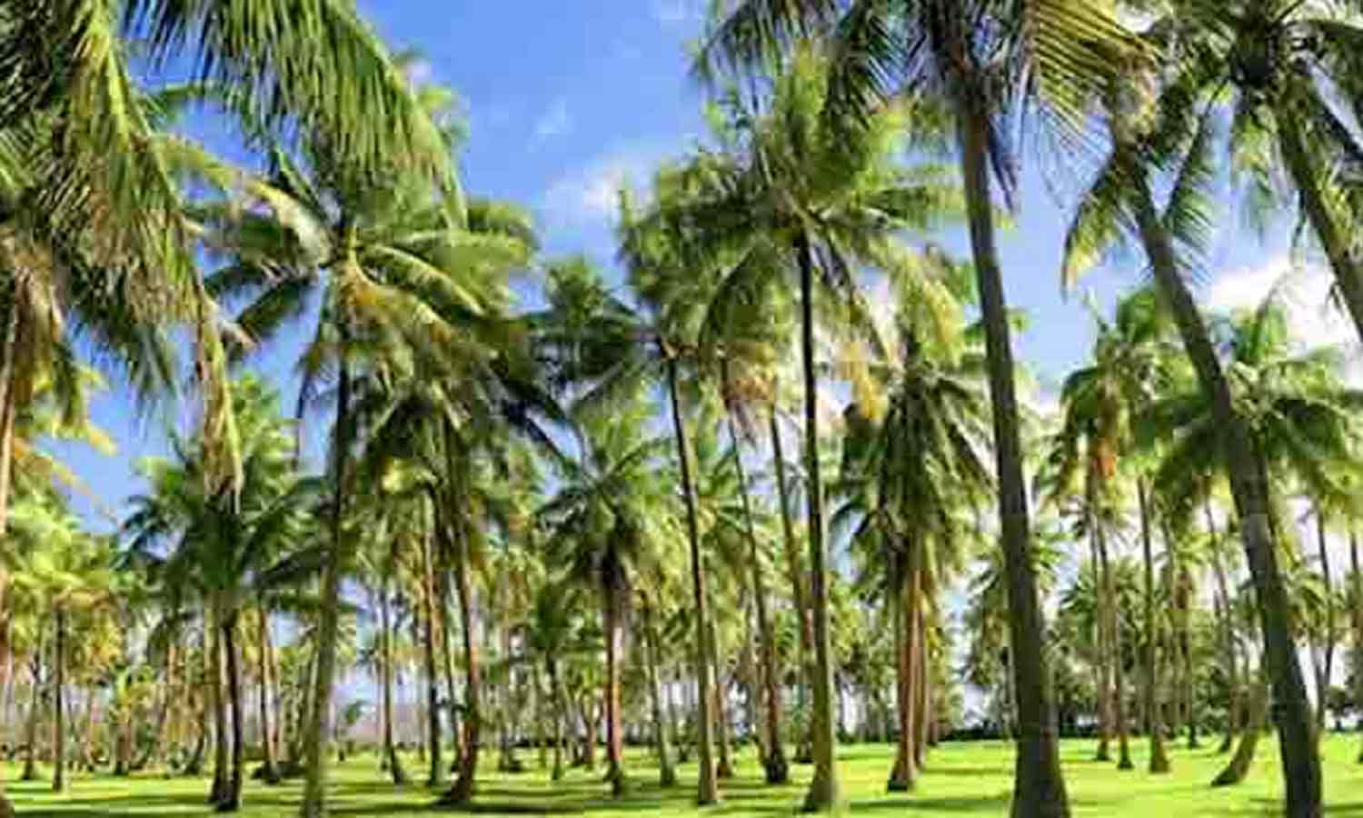 இரட்டைச் சொற்கள்! இரட்டைச் சொற்கள்!