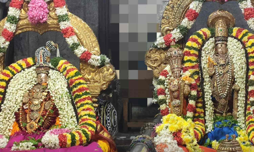திருவள்ளூர் வீரராகவர் கோவிலில் வசந்த உற்சவ விழா