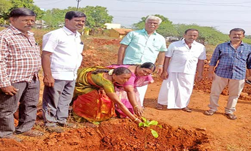 கோவில்பட்டி அருகே லிங்கம்பட்டி ஊராட்சியில் 3000 மரக்கன்றுகள் நடும் விழா