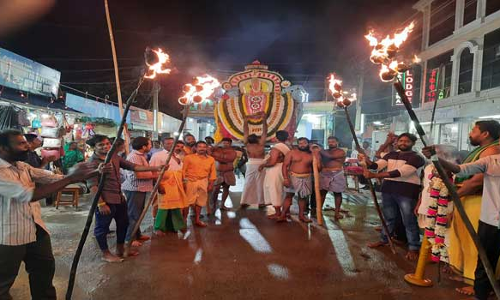 அன்ன வாகனத்தில் பகவதி அம்மன் வீதி உலா