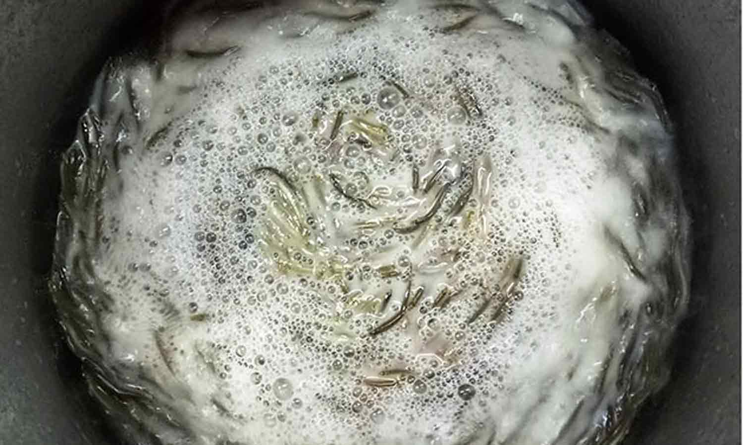 வாடிக்கையாளர்களுக்கு கூடுதல் சுவை தர அயிரை மீன்களுக்கு தேங்காய் பால் கொடுக்கும் தனியார் உணவகம் வாடிக்கையாளர்களுக்கு கூடுதல் சுவை தர அயிரை மீன்களுக்கு தேங்காய் பால் கொடுக்கும் தனியார் உணவகம்