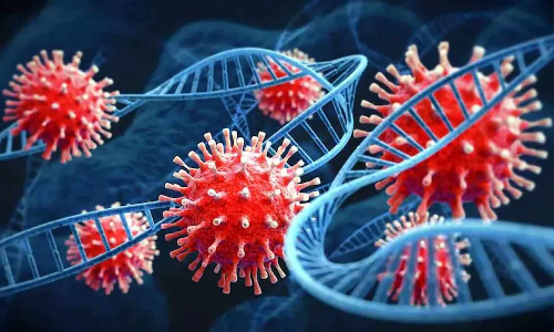 கொரோனாவுக்கு சிகிச்சை பெறுவோர் எண்ணிக்கை 5 ஆக உயர்வு