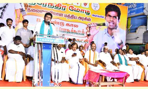 பா.ஜ.க. பொதுக்கூட்டம்