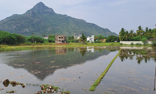 திருவண்ணாமலை பகுதியில் பலத்த மழையில் 5 வீடுகள் இடிந்து நாசம்