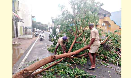 தொண்டியில் 68 மி.மீ. மழை பதிவு