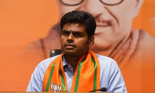 பா.ஜ.க. அரசின் 8 ஆண்டு சாதனை விளக்க பொதுக்கூட்டம்