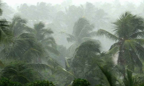 தென்மேற்கு பருவமழை - முன்னேற்பாடு பணிகள் குறித்து ஆலோசனை
