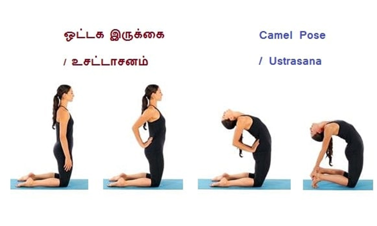 Ustrasana (Camel pose) - suggestions for practice — Dynamic Yoga Anatomy