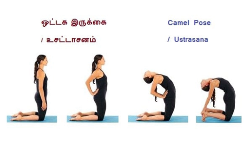 இந்த ஆசனம் செய்தால் மார்பு விரிவடையும்
