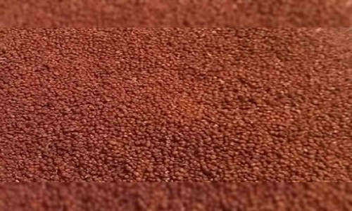 நாடாளுமன்றத்தில் பேசுவதாக எம்.பி.க்கள் உறுதி,  செங்காந்தள் மலர் விவசாயிகளின் கோரிக்கை நிறைவேறுமா?