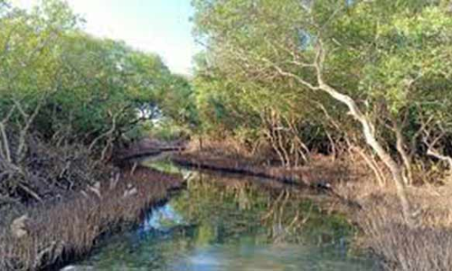 சுற்றுலாத் தலமாக முத்துக்குடா தீவு