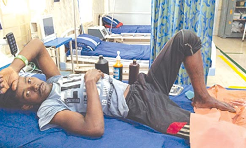 கரடி தாக்கி வடமாநில வாலிபர் படுகாயம்