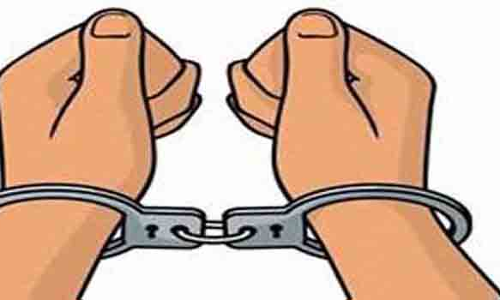 சொத்து தகராறில் தங்கையை தாக்கிய சகோதரர்கள் கைது