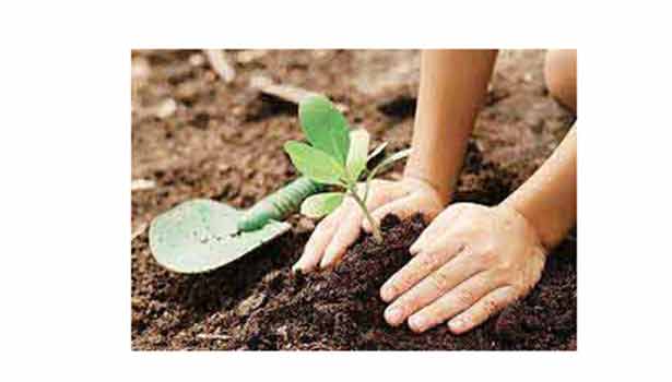 மரக்கன்றுகள் நடும் மகளிர் சுய உதவிக் குழுவினர்