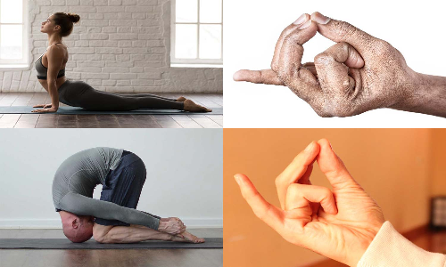 நுரையீரலை வலுப்படுத்தும் யோகா மற்றும் முத்திரைகள்