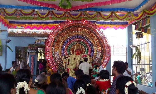 வேலூர் சத்துவாச்சாரி கெங்கையம்மன் கோவிலில் தேரோட்டம்