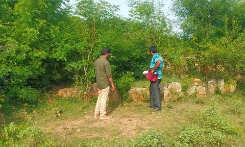 தும்பல் கல்வட்டங்கள் குறித்து தொல்லியல் துறையினர் ஆய்வு