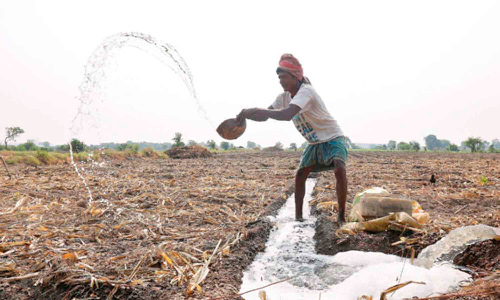 விளை பொருட்களுக்கான விலை சரிவால் சாகுபடி பரப்பை குறைக்கும் விவசாயிகள்
