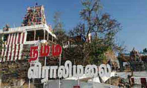 விராலிமலை முருகன் கோவில் தேரில் முகூர்த்தகால் நடும் நிகழ்ச்சி
