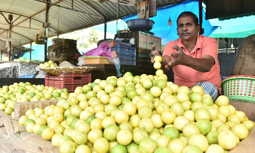 ஈரோடு மார்க்கெட்டில்  எலுமிச்சை பழம் விலை குறைந்தது