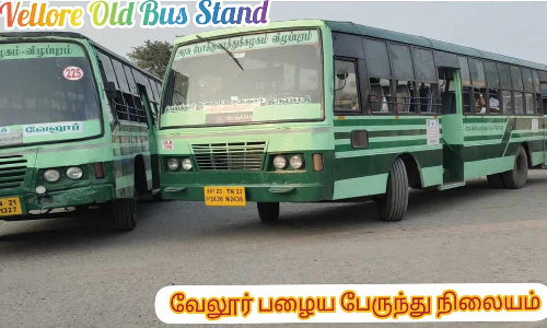 வேலூர் புதிய பஸ் நிலையத்தில் இருந்து இயக்கப்பட்ட சென்னை, காஞ்சிபுரம் பஸ்கள் ஆடுதொட்டி பஸ்நிலையத்தில் இருந்து இயக்கம்
