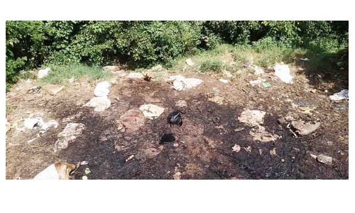 தேன்கனிக்கோட்டை அருகே   ஆற்றங்கரையில் கொட்டப்படும் இறைச்சி கழிவுகளால் நோய் பரவும் அபாயம்