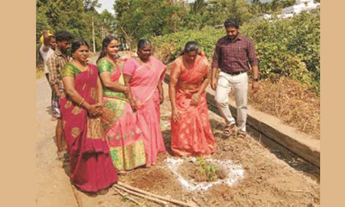 திருக்குறுங்குடி பேரூராட்சியில் மரக்கன்றுகள் நடும்விழா