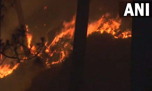 காஷ்மீரின் உதம்பூா் வனப்பகுதியில் பற்றி எரியும் காட்டுத்தீ