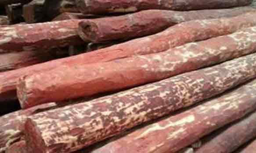திருப்பதியில் செம்மரக்கடத்தல் வழக்கை விசாரிக்க 2 சிறப்பு கோர்ட்டுகள் அமைப்பு