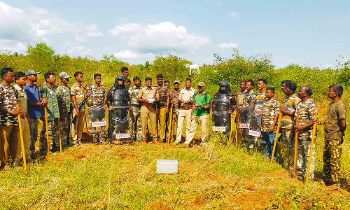 புலியை 2-வது நாளாக டிரோன் கேமிரா மூலம் தேடும் வனத்துறையினர்