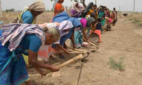 100 நாள்  திட்டத்தில் வேலை வழங்கப்படாததால் தவிக்கும் தொழிலாளர்கள்