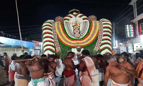 வைகாசி விசாக 7-ம் நாள் திருவிழாவையொட்டி வெள்ளி இமயகிரி வாகனத்தில் பகவதி அம்மன் வீதி உலா