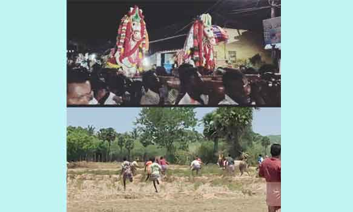 புரவியெடுப்பு விழாவையொட்டி மஞ்சுவிரட்டு