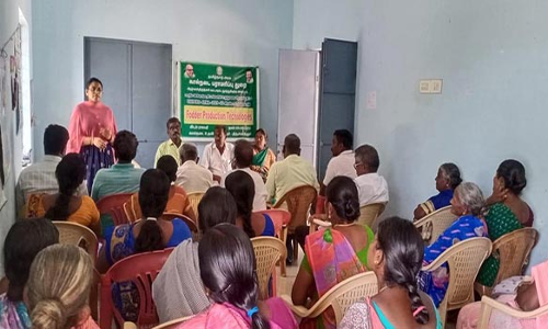 ஆழ்வார்திருநகரி வட்டார வேளாண்துறை சார்பில் கால்நடை தீவனப்பயிர் சாகுபடி பயிற்சி