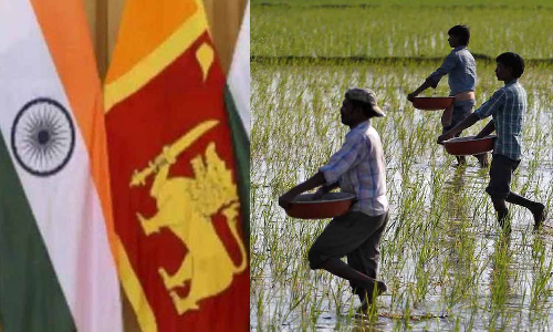 யூரியா உரம் வாங்குவதற்கு இலங்கைக்கு கடன் உதவி- இந்தியா வழங்கியது