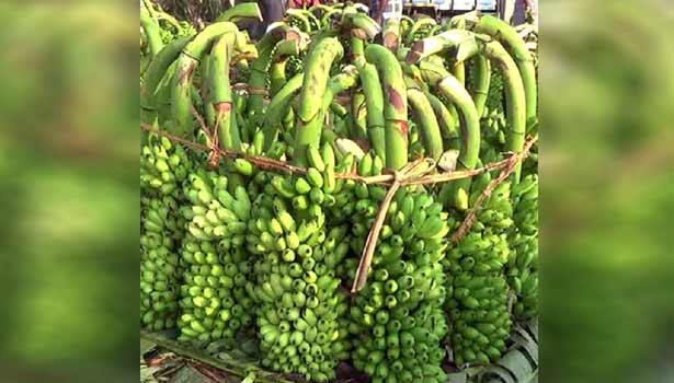 வரத்து குறைவால் வாழைத்தார் விலை உயர்வு வரத்து குறைவால் வாழைத்தார் விலை உயர்வு