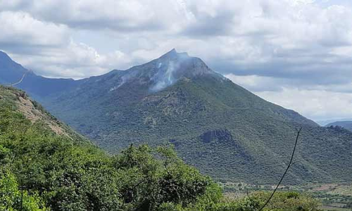 சின்னமனூர் அருகே மேற்கு தொடர்ச்சி மலையில் பற்றி எரியும் காட்டுத்தீ
